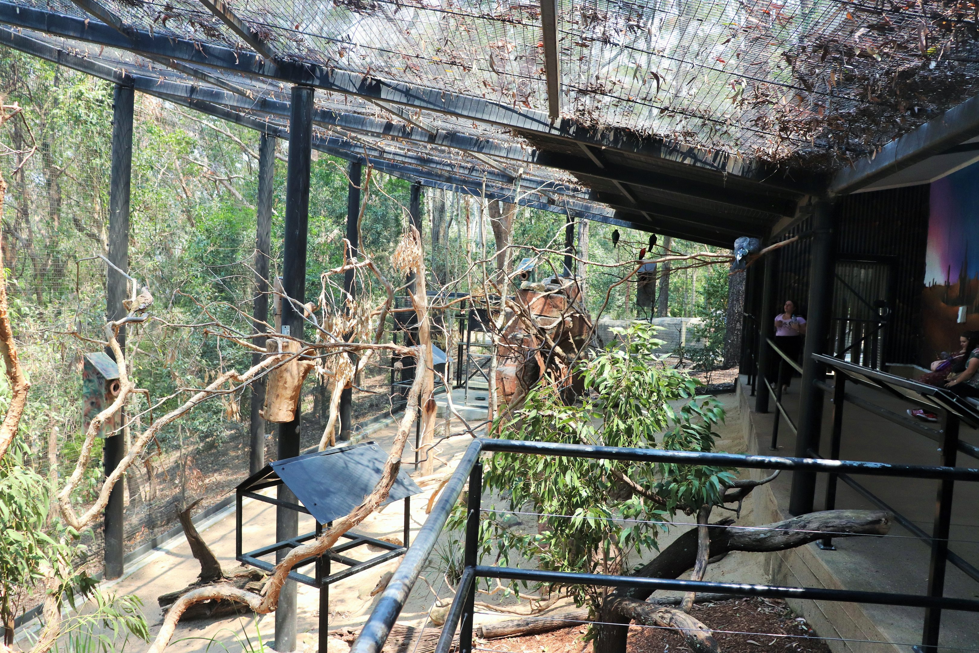 Land of the Parrots Aviary