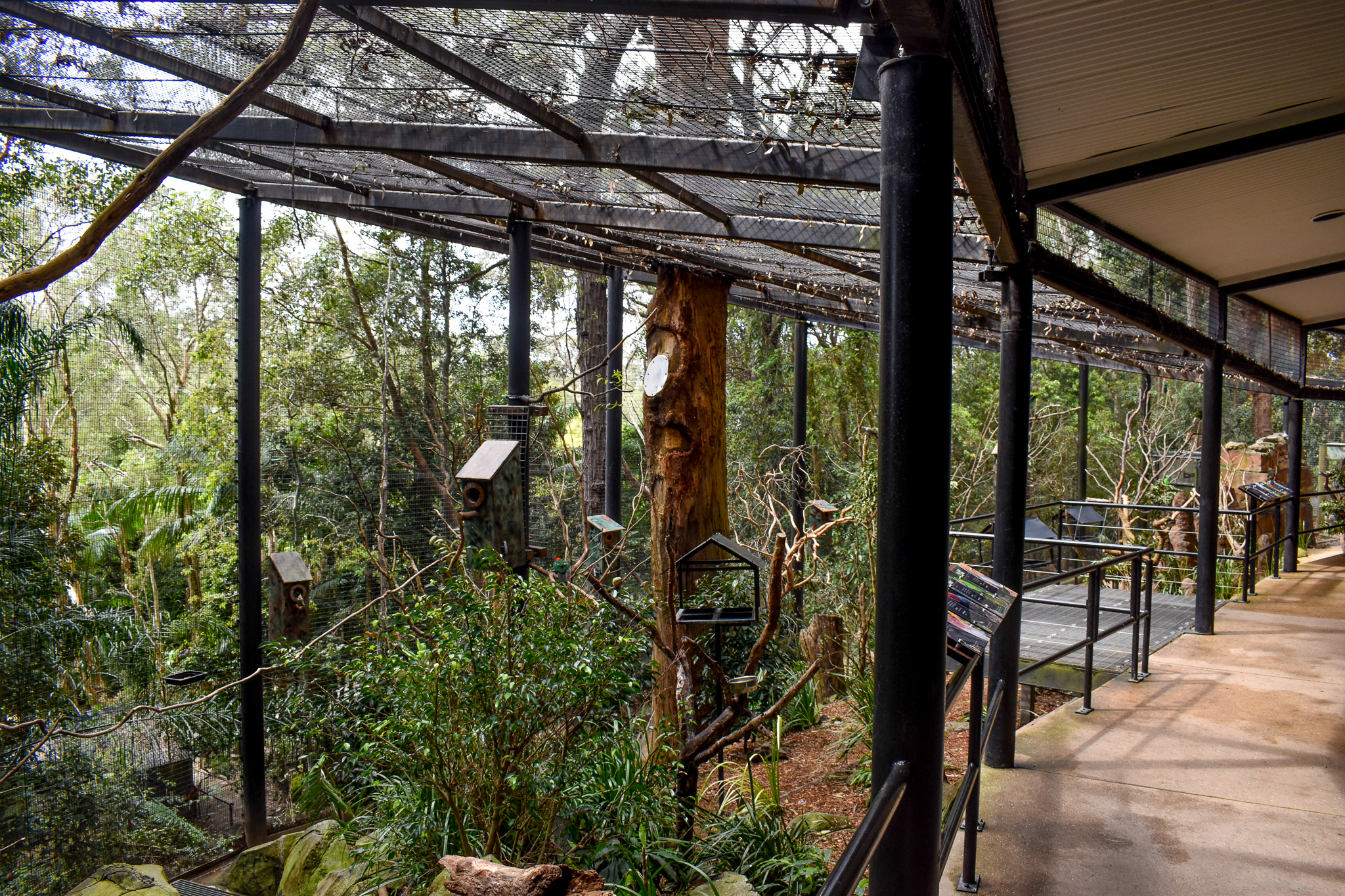 Land of the Parrots Aviary