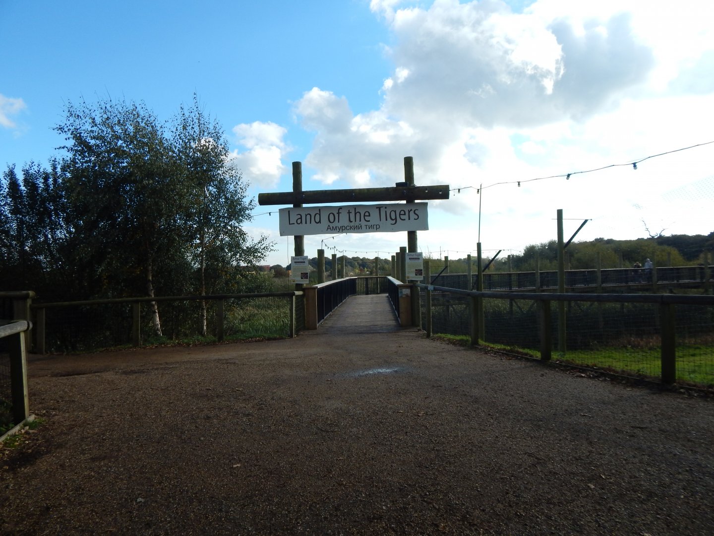 Land of the Tiger 121024