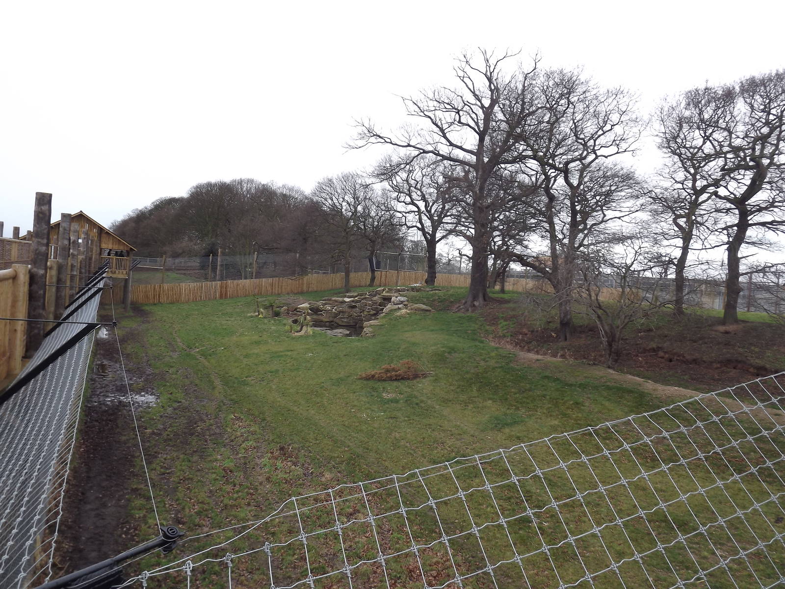 Land of the Tiger at Yorkshire Wildlife Park 18/02/12