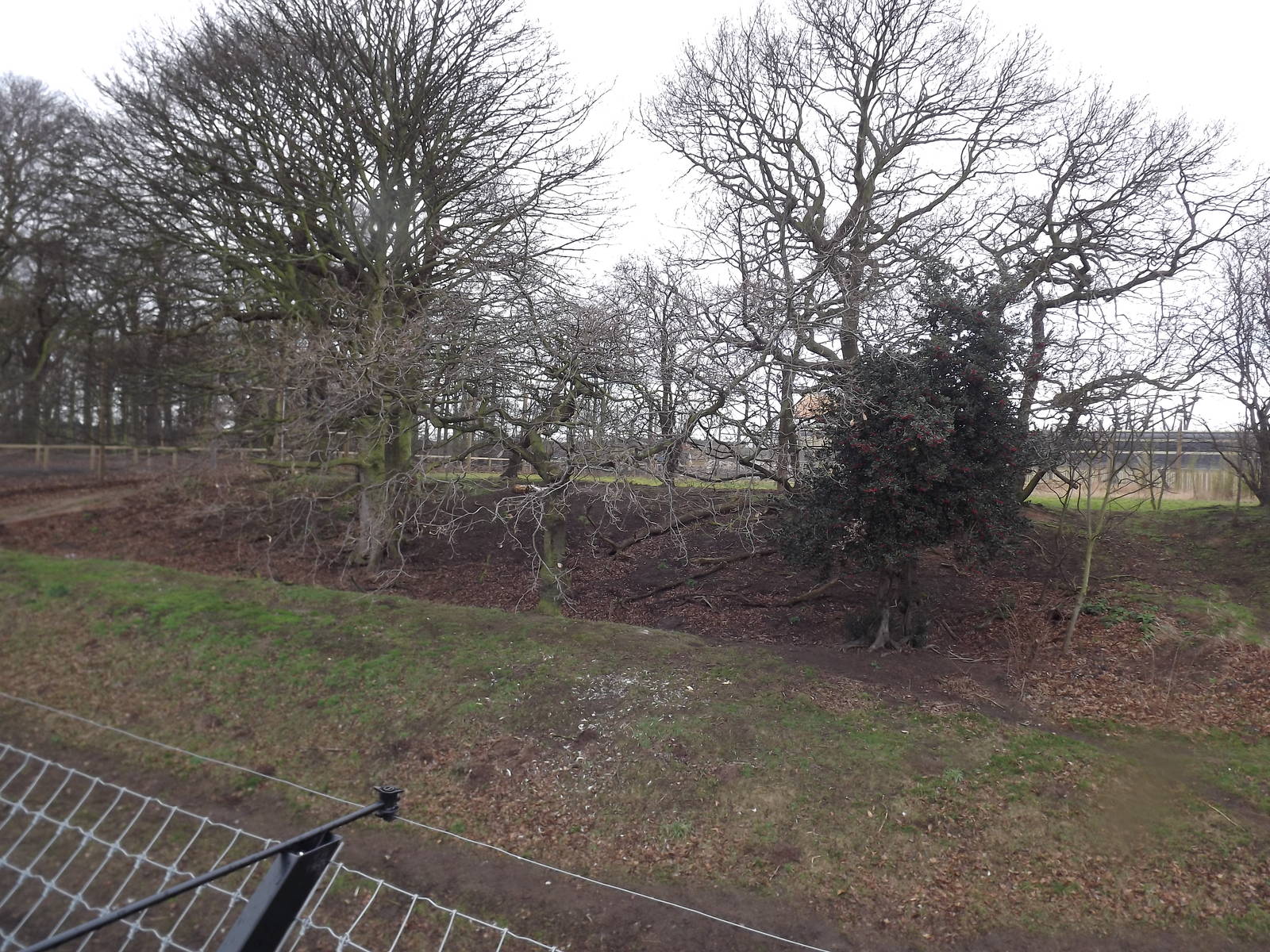 Land of the Tiger at Yorkshire Wildlife Park 18/02/12