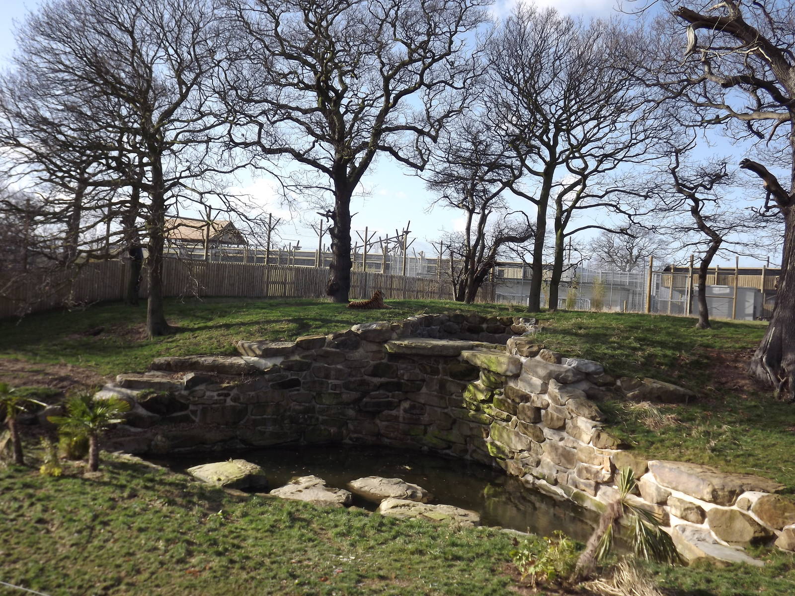 Land of the Tiger at Yorkshire Wildlife Park 18/02/12