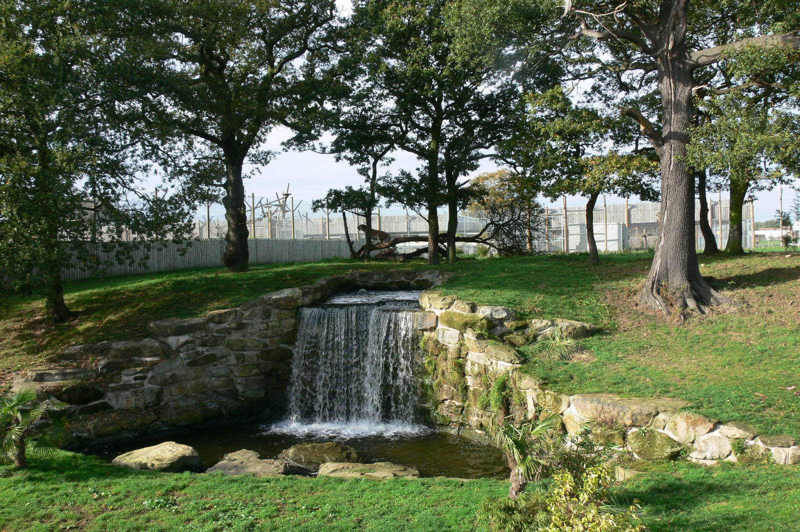 Land of the Tiger at Yorkshire WP, 28/10/14