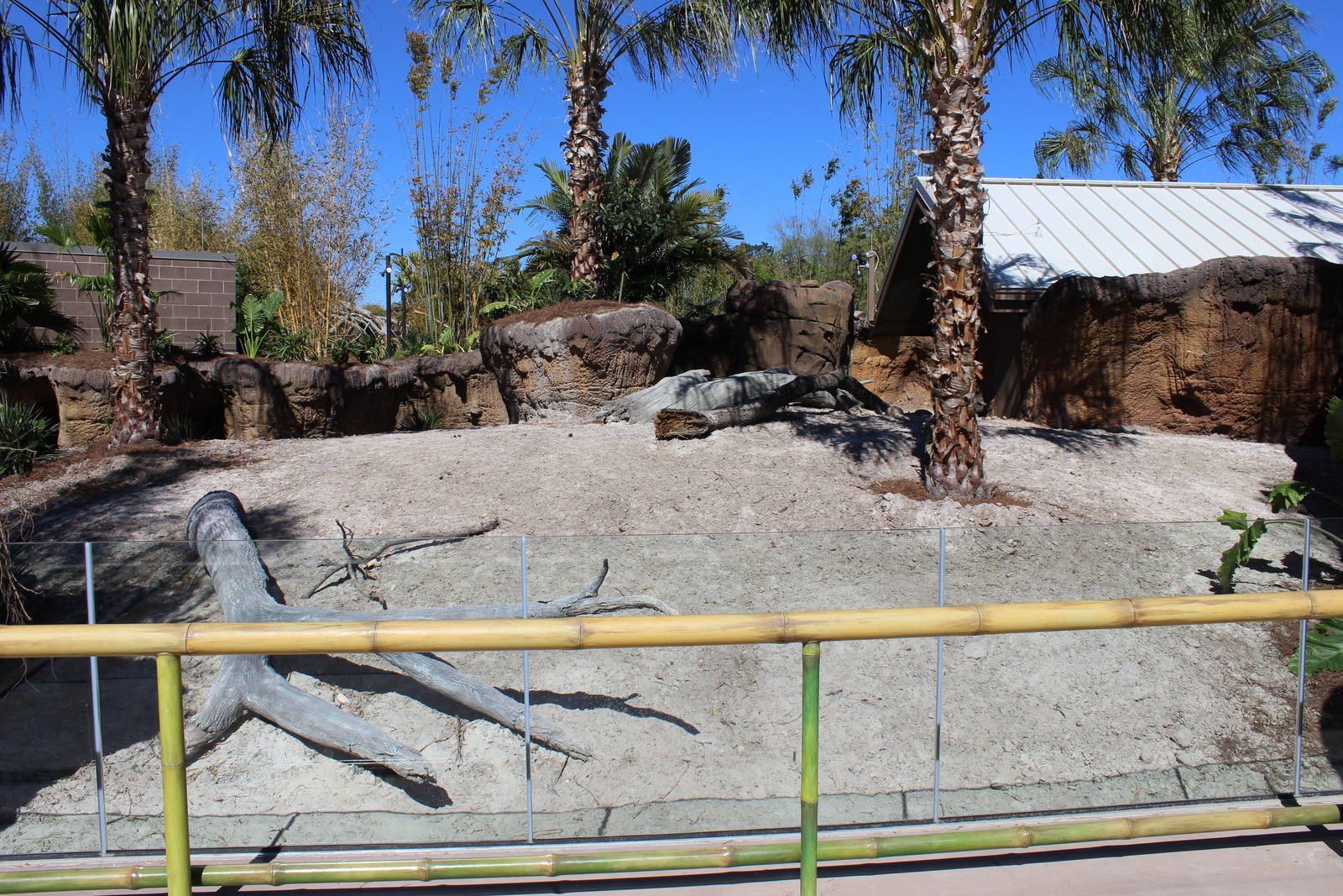 Land of the Tiger - Babirusa/Asian Small Clawed Otters Exhibit