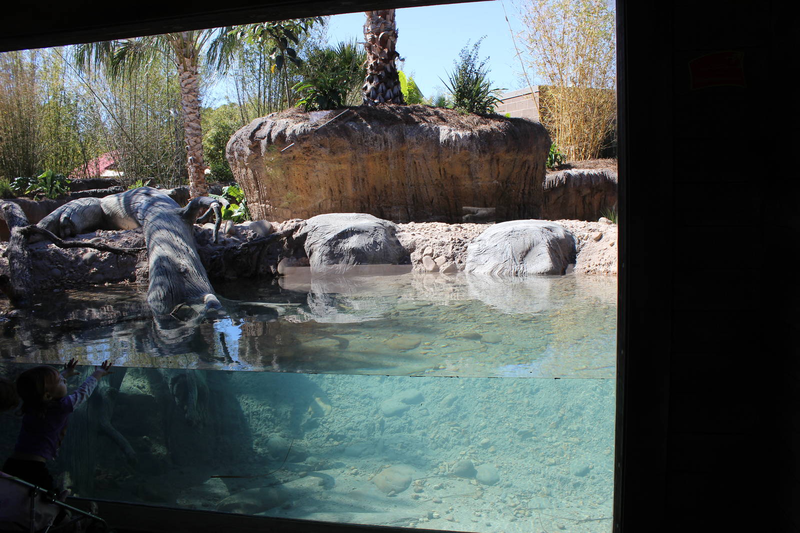 Land of the Tiger - Babirusa/Asian Small Clawed Otters Exhibit