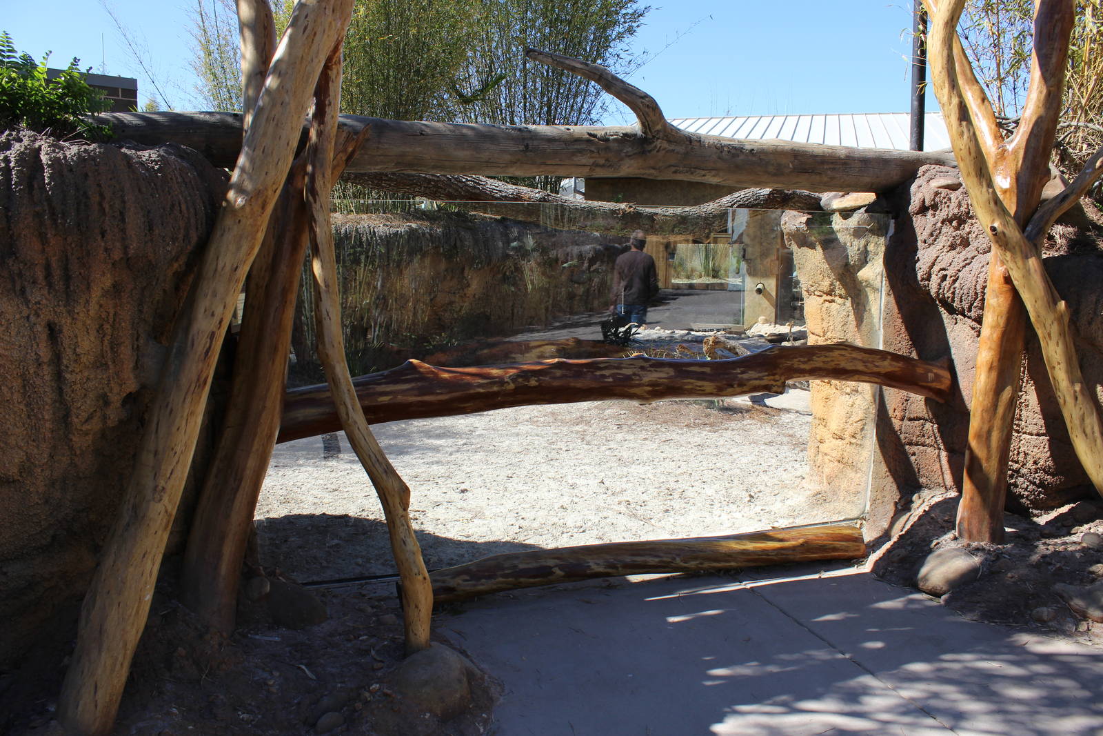 Land of the Tiger - Babirusa/Asian Small Clawed Otters Exhibit