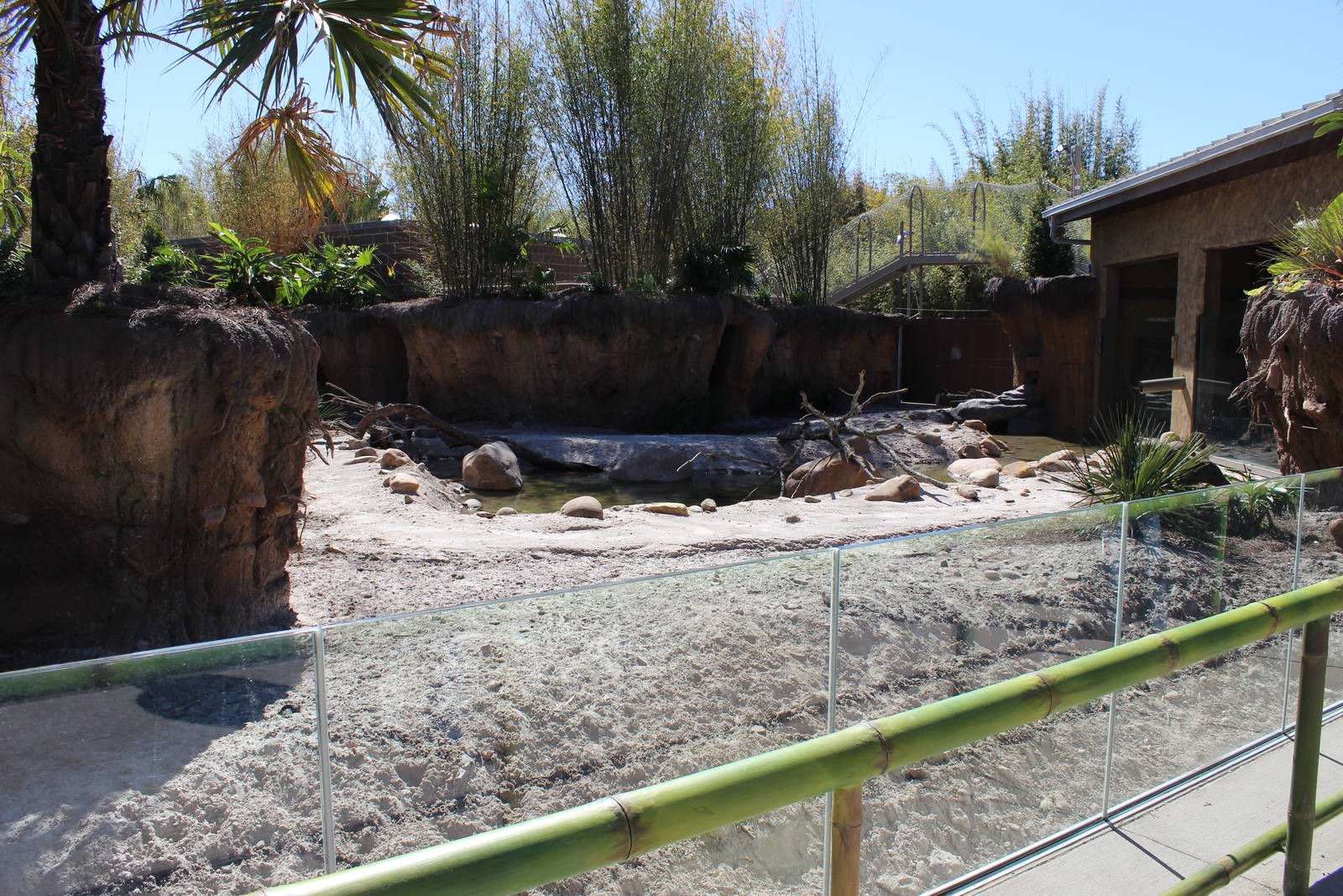 Land of the Tiger - Babirusa/Asian Small Clawed Otters Exhibit