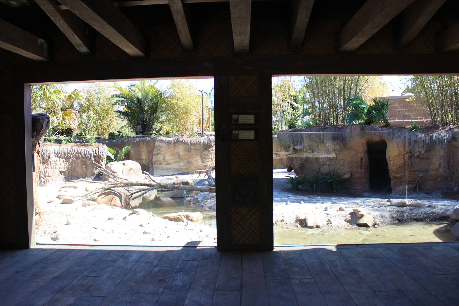 Land of the Tiger - Babirusa/Asian Small Clawed Otters Exhibit
