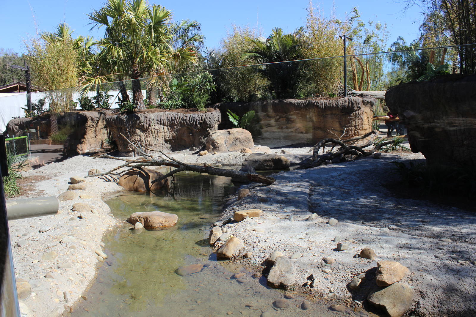 Land of the Tiger - Babirusa/Asian Small Clawed Otters Exhibit