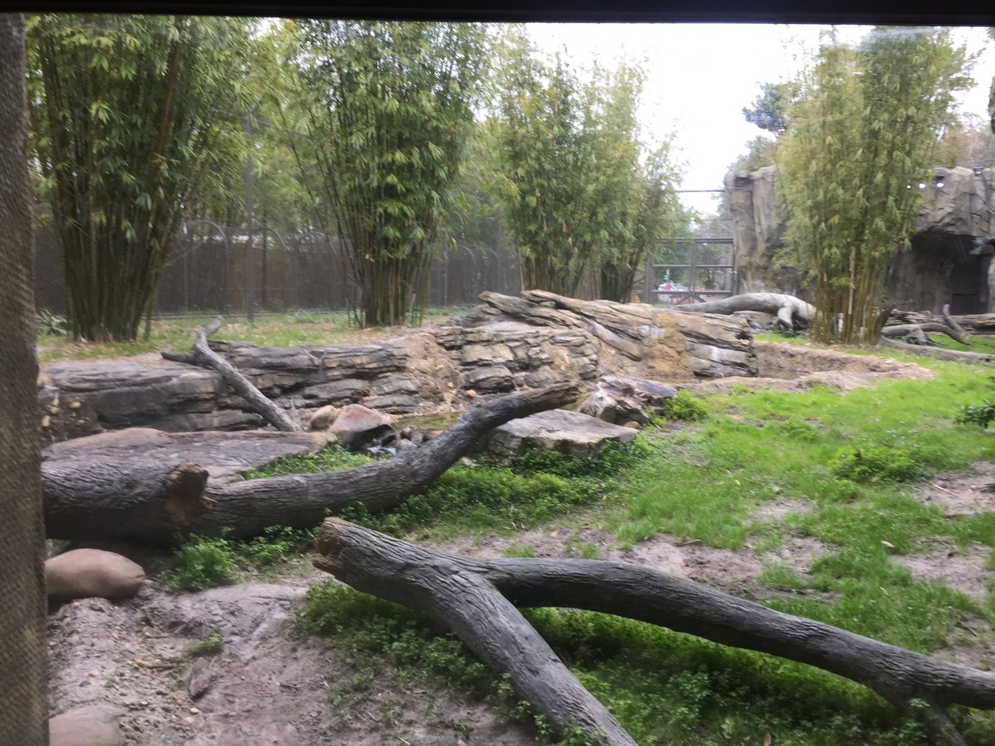 Land of the Tiger- Malayan Tiger