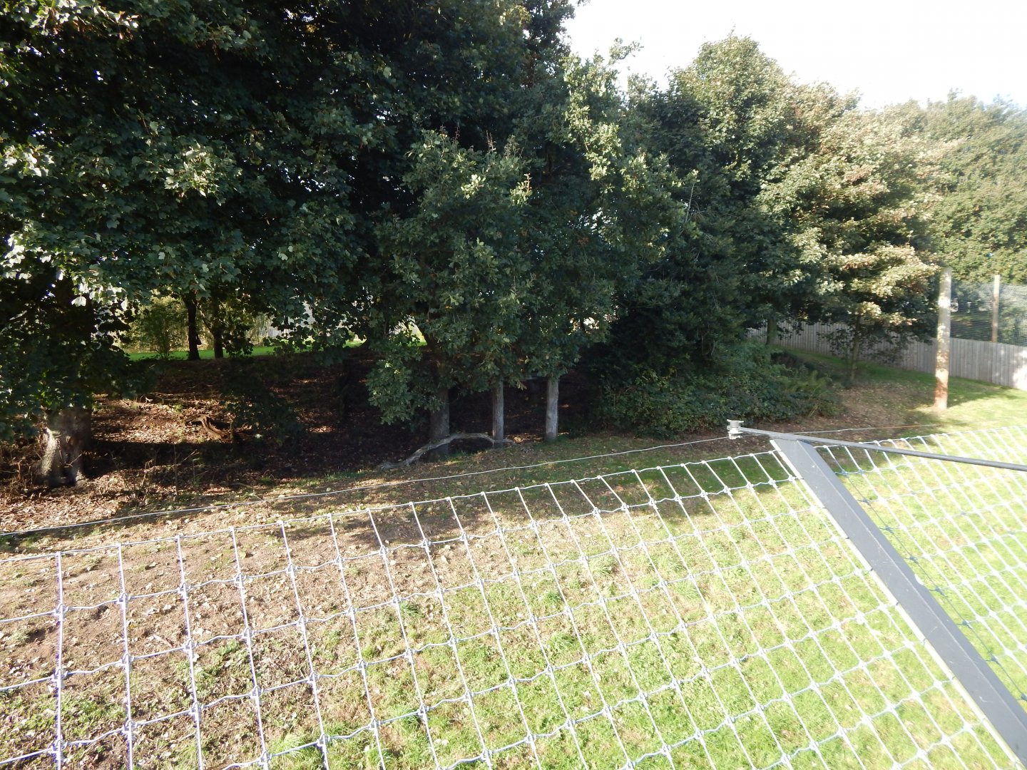 Land of the Tiger - Siberian tiger habitat 121024