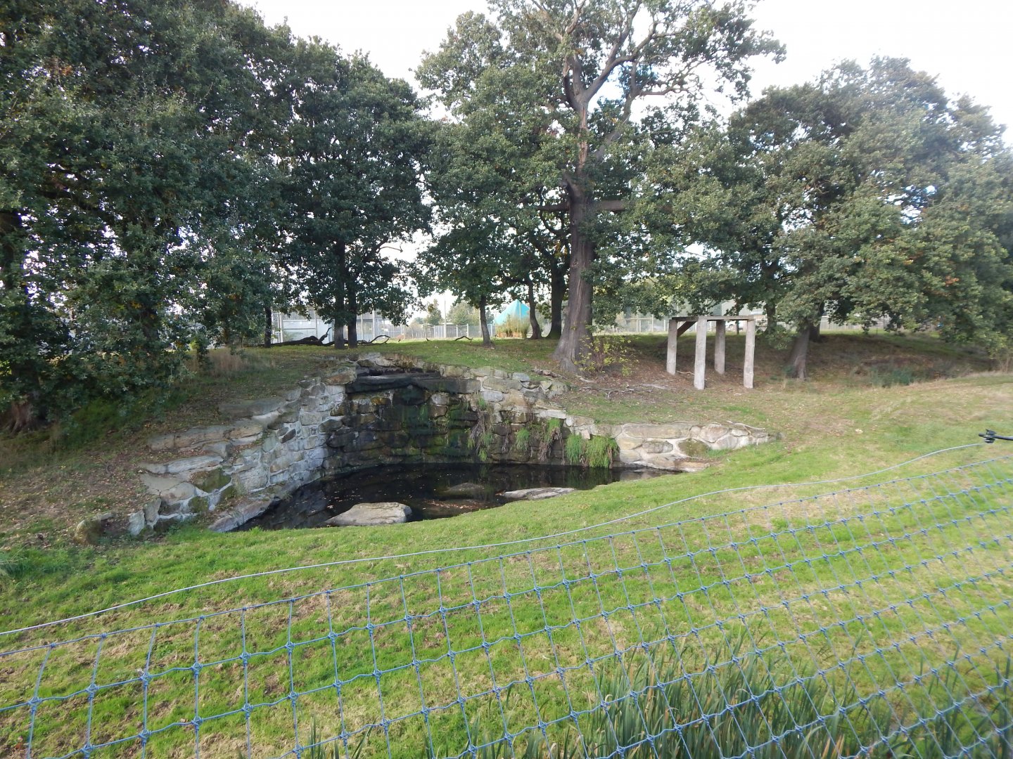 Land of the Tiger - Siberian tiger habitat 121024