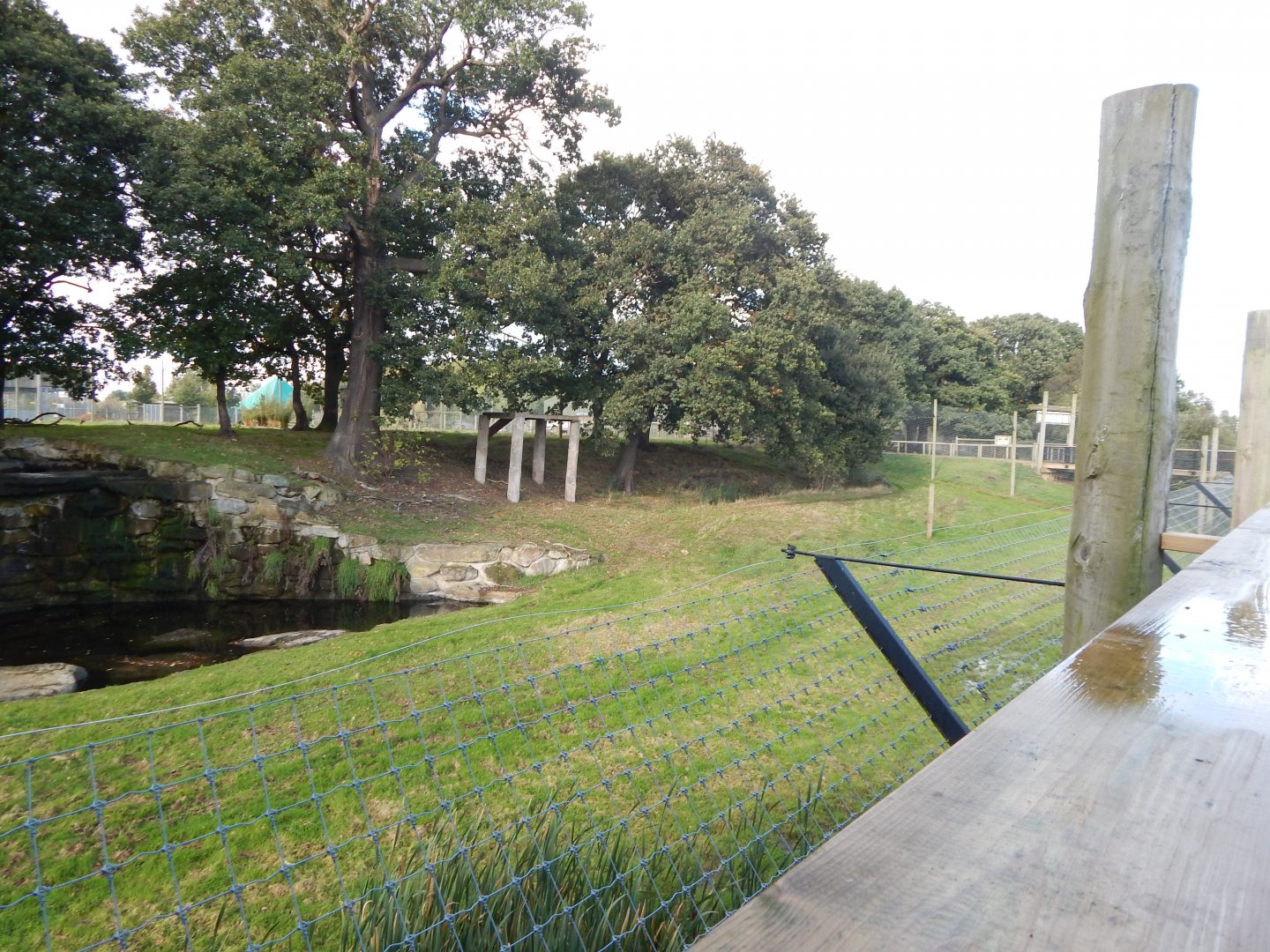 Land of the Tiger - Siberian tiger habitat 121024