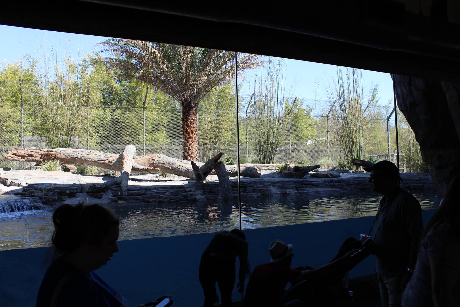 Land of the Tiger - Tiger Exhibit #1