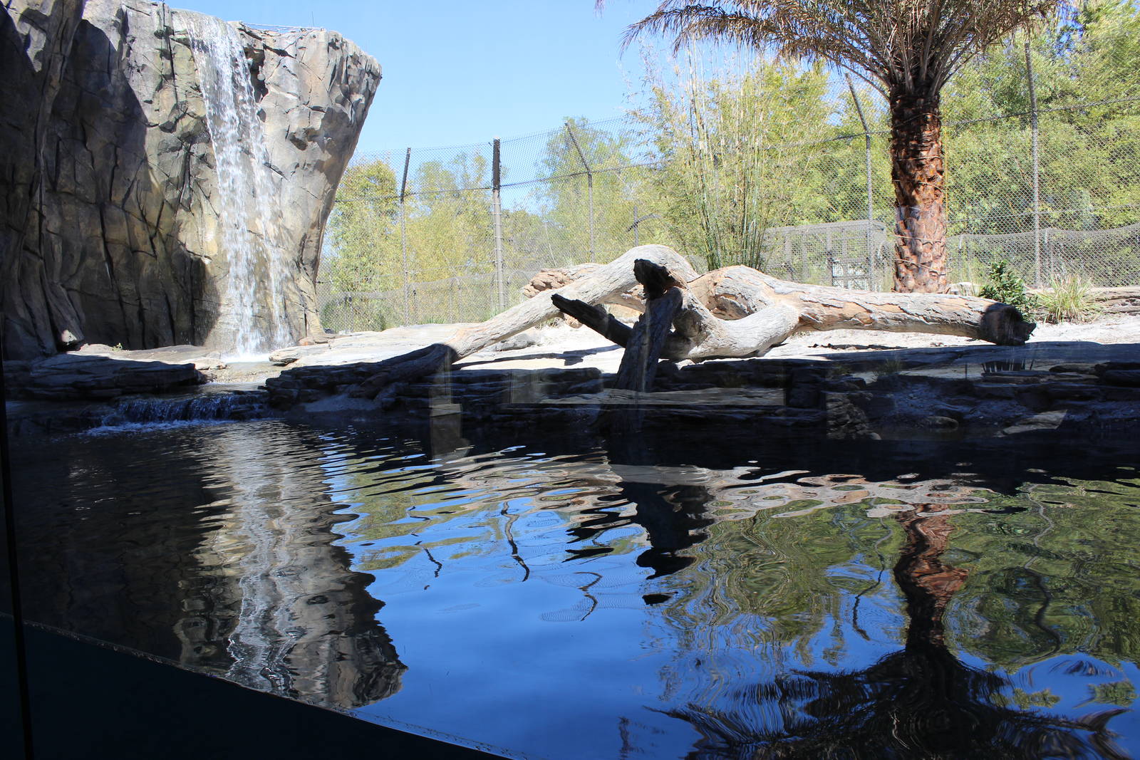 Land of the Tiger - Tiger Exhibit #1