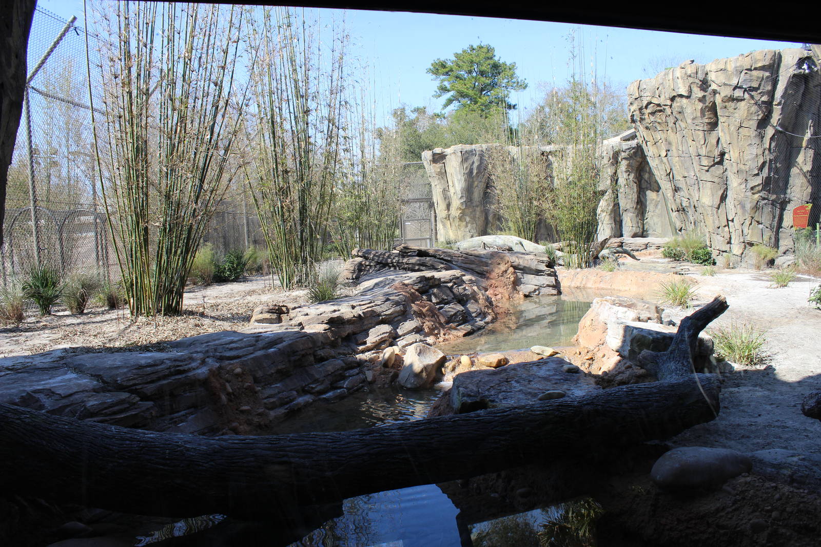 Land of the Tiger - Tiger Exhibit #2