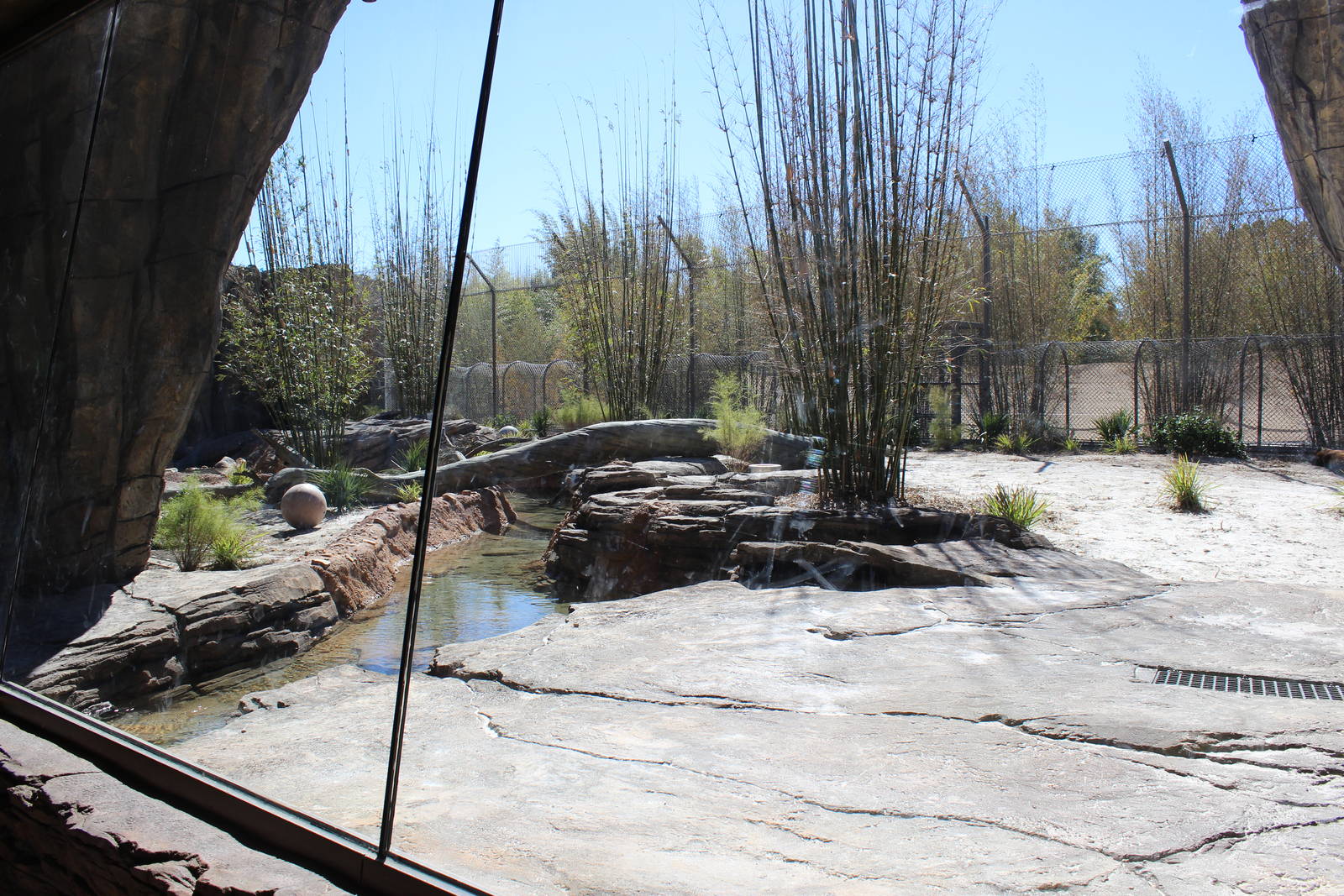 Land of the Tiger - Tiger Exhibit #2