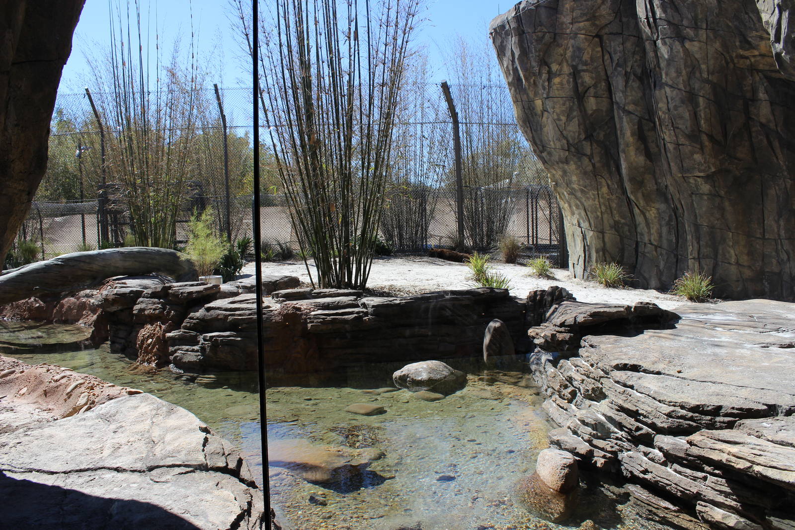 Land of the Tiger - Tiger Exhibit #2