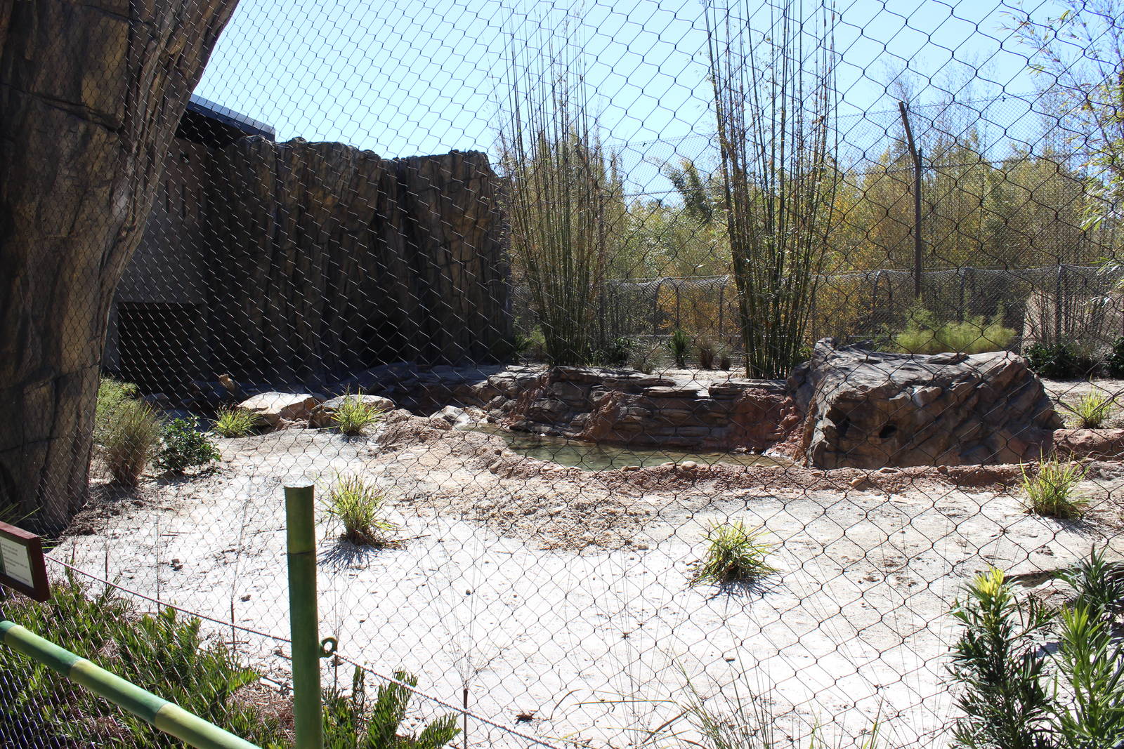 Land of the Tiger - Tiger Exhibit #2