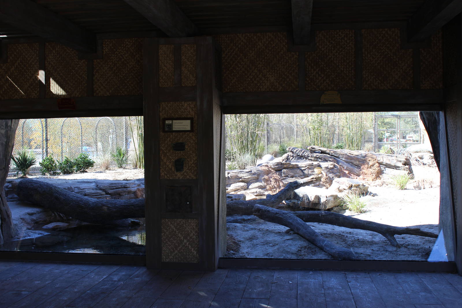 Land of the Tiger - Tiger Exhibit #2