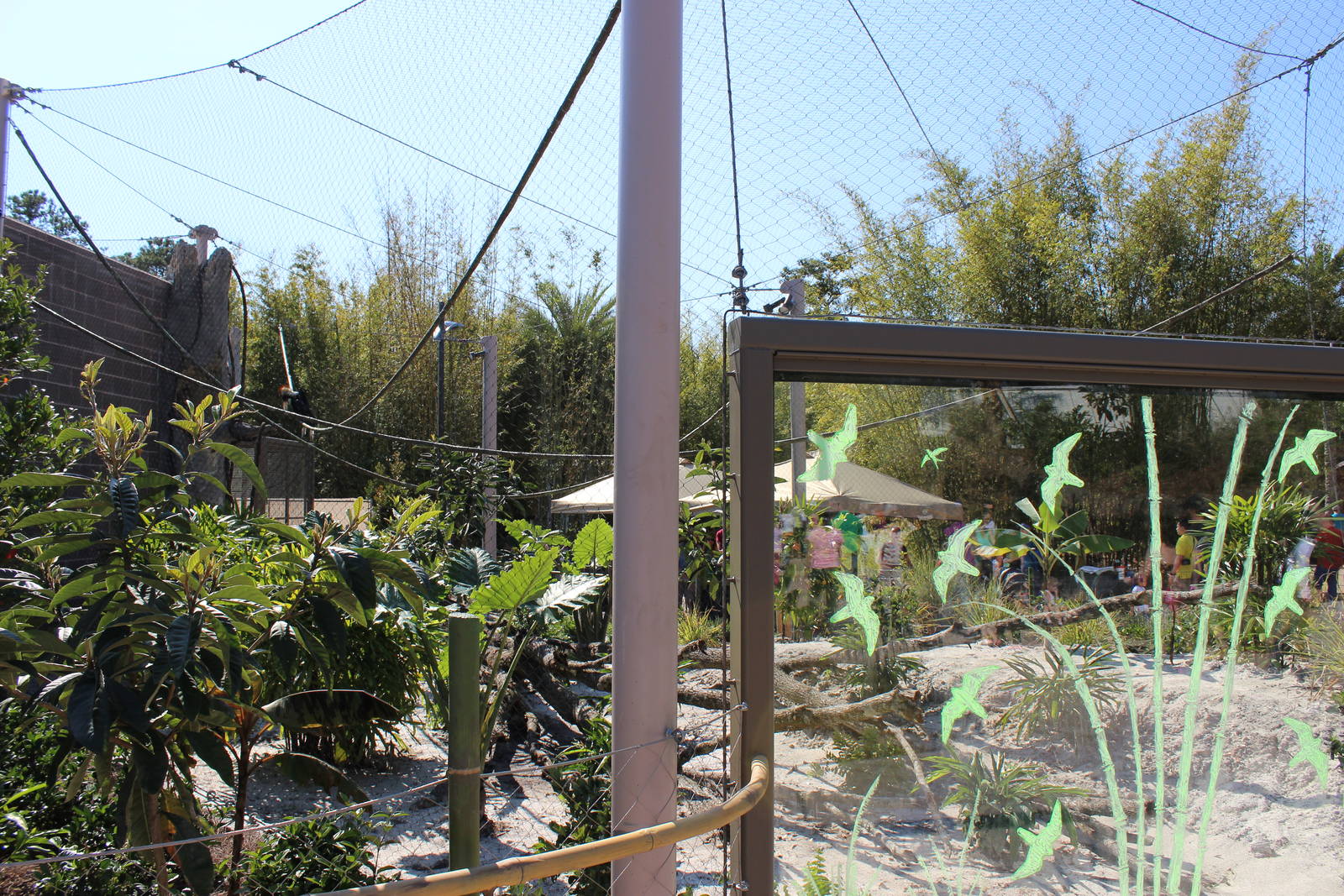 Land of the Tiger - Wreathed Hornbill Exhibit