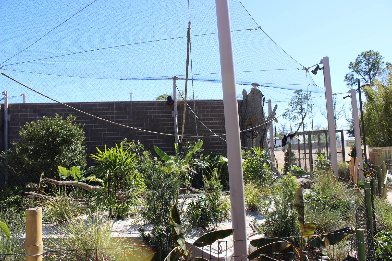 Land of the Tiger - Wreathed Hornbill Exhibit