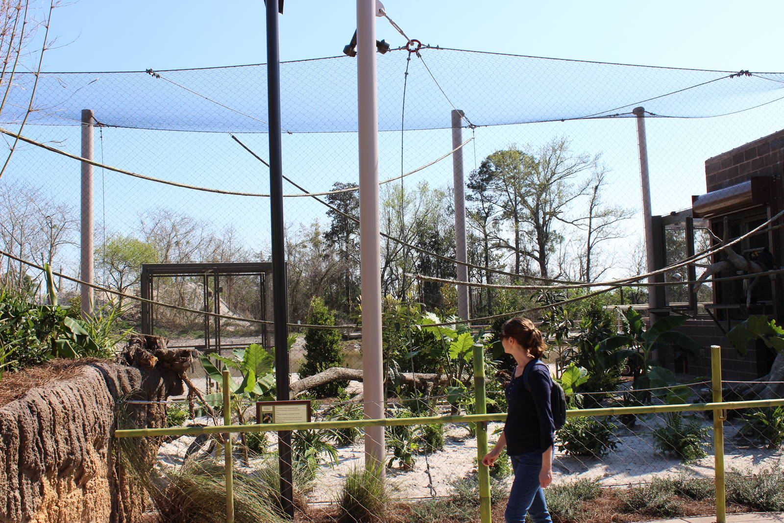 Land of the Tiger - Wrinkled Hornbill Exhibit