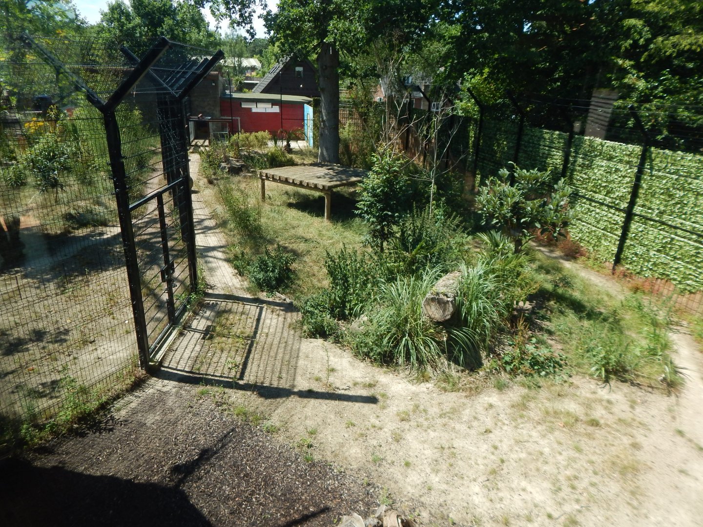 Land of the Tigers 100722