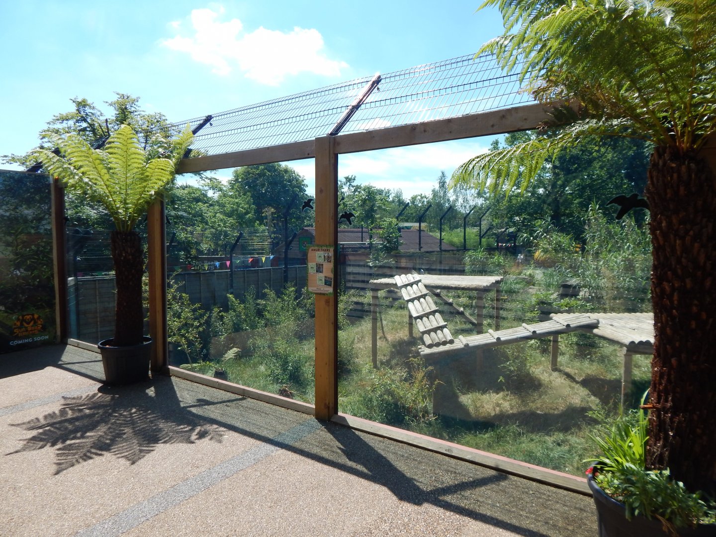 Land of the Tigers 100722