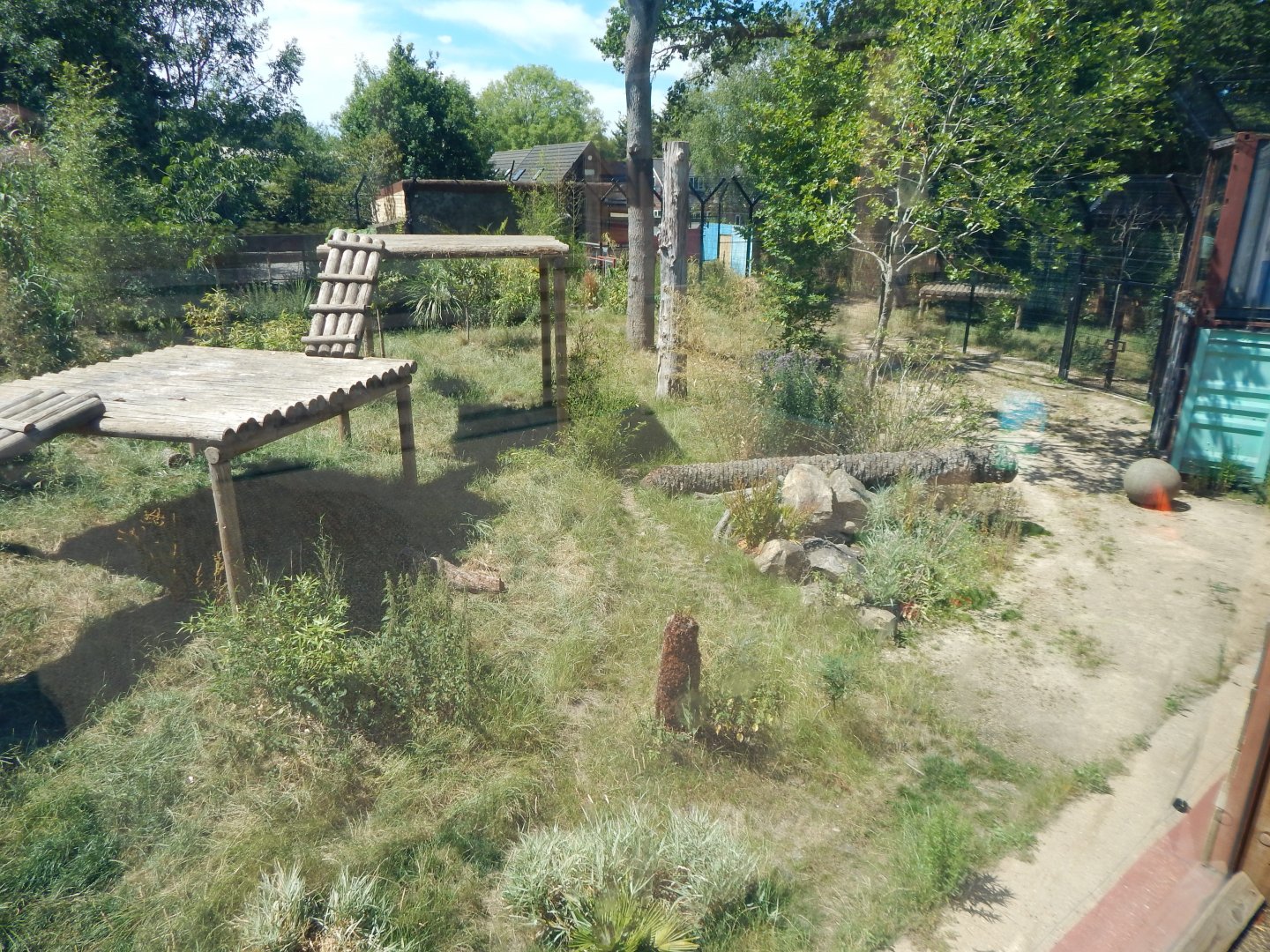 Land of the Tigers 100722