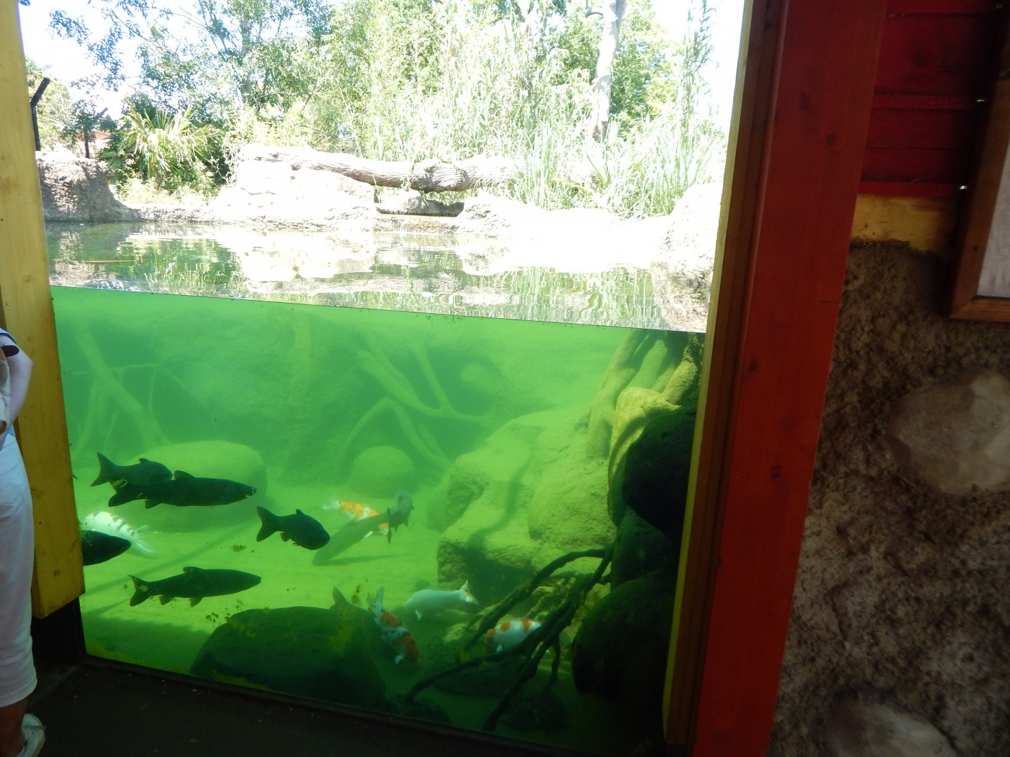 Land of the Tigers 100722