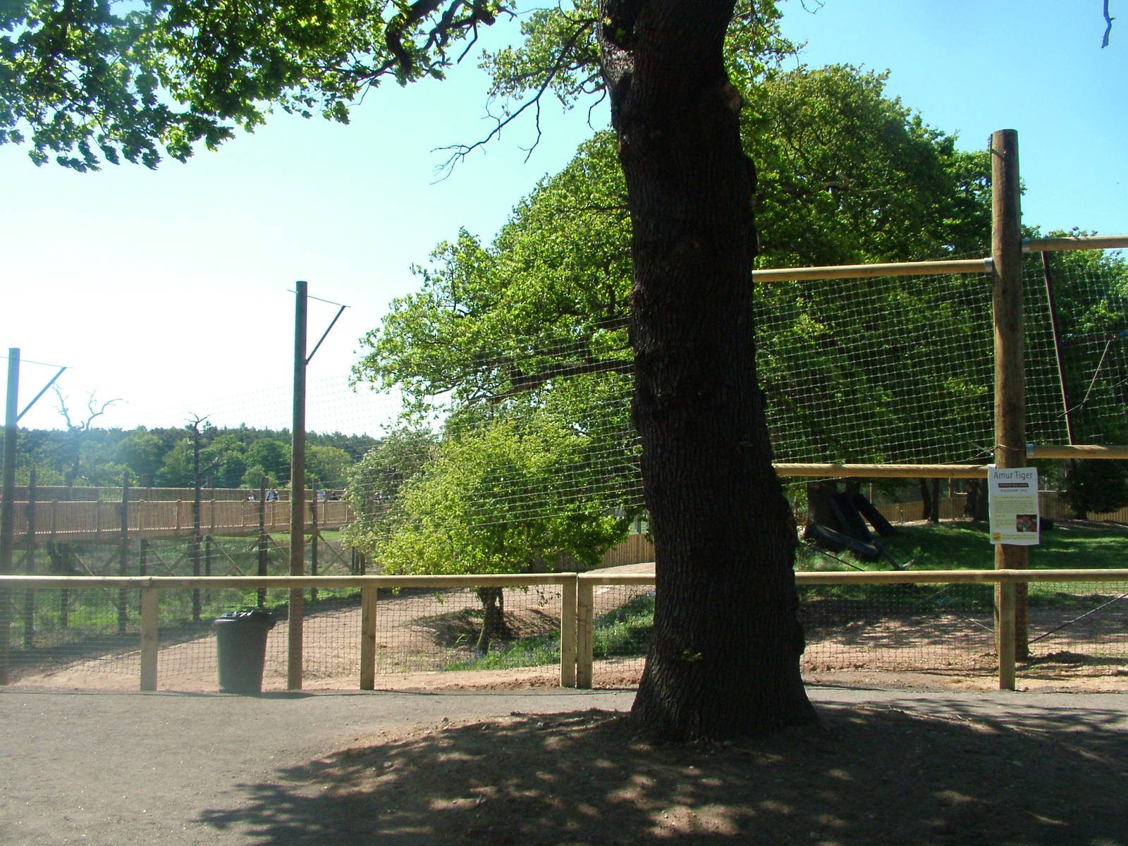 Land of the Tigers at Yorkshire WP 02/05/11