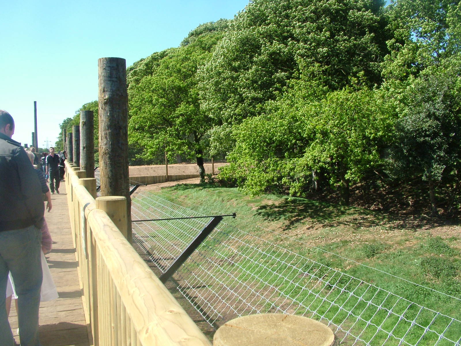 Land of the Tigers at Yorkshire WP 02/05/11