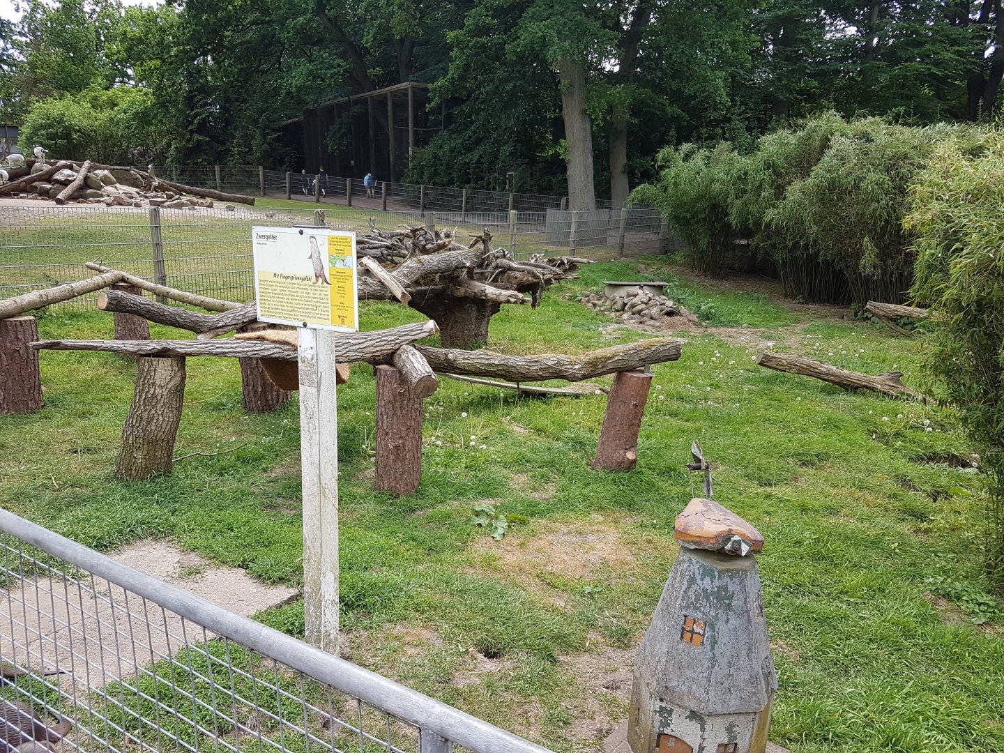 Land-part Small-clawed otter-enclosure