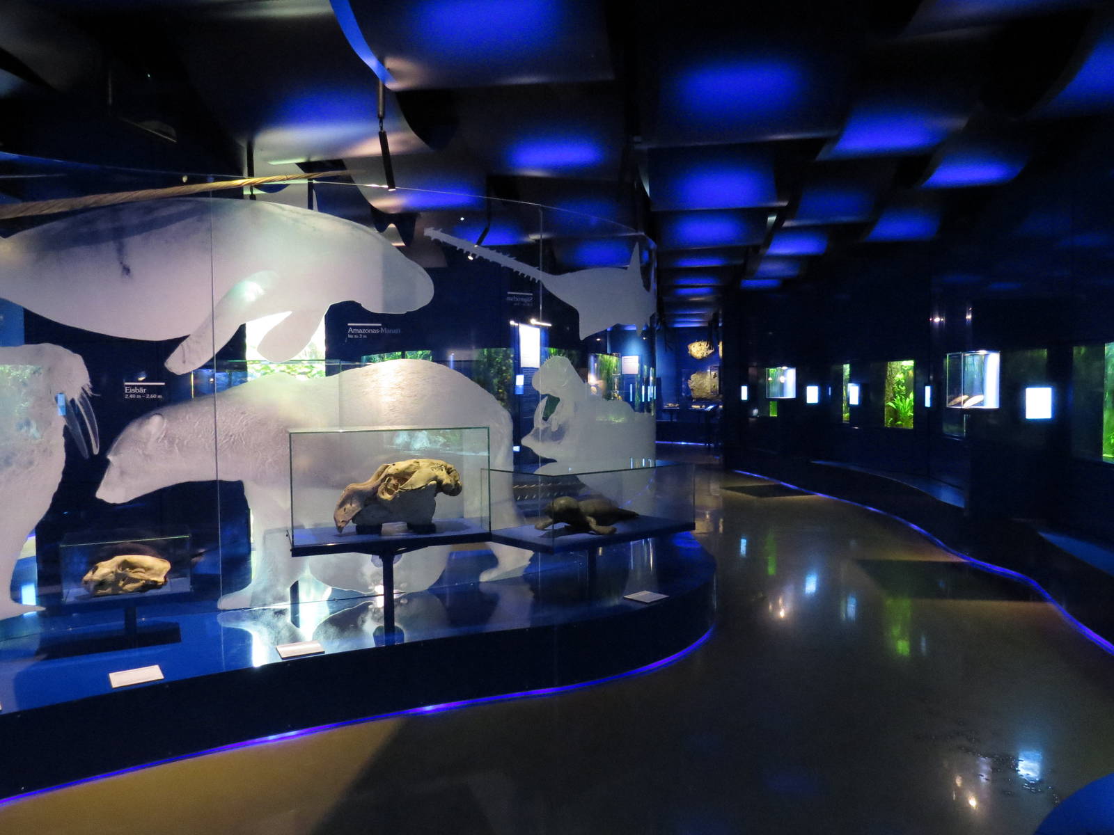 Landesmuseum Hannover Aquarium - April 2014.