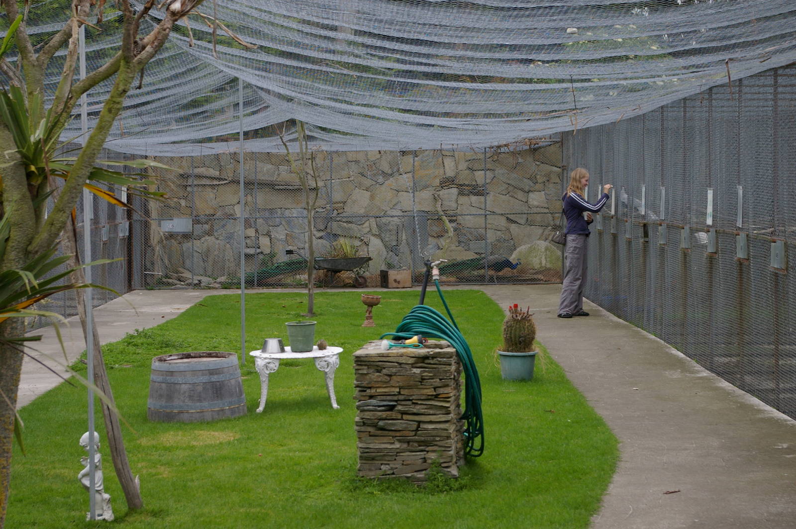 Landon Creek Bird Sanctuary, NZ