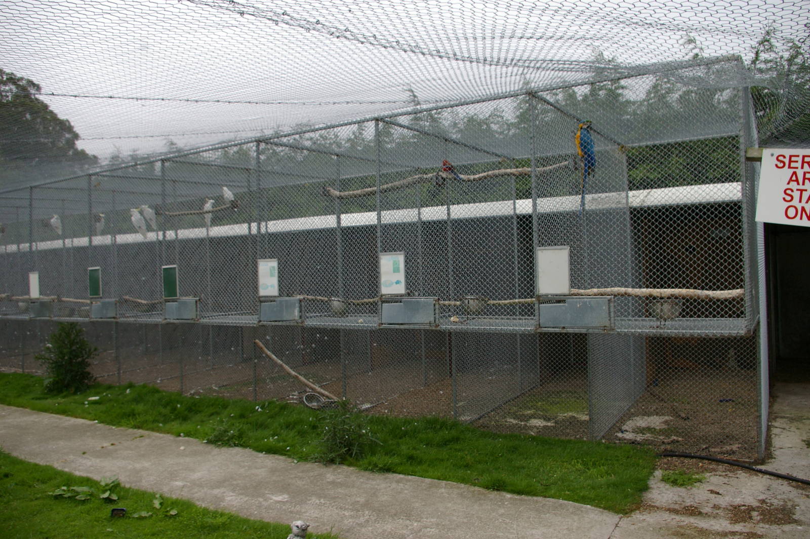 Landon Creek Bird Sanctuary, NZ