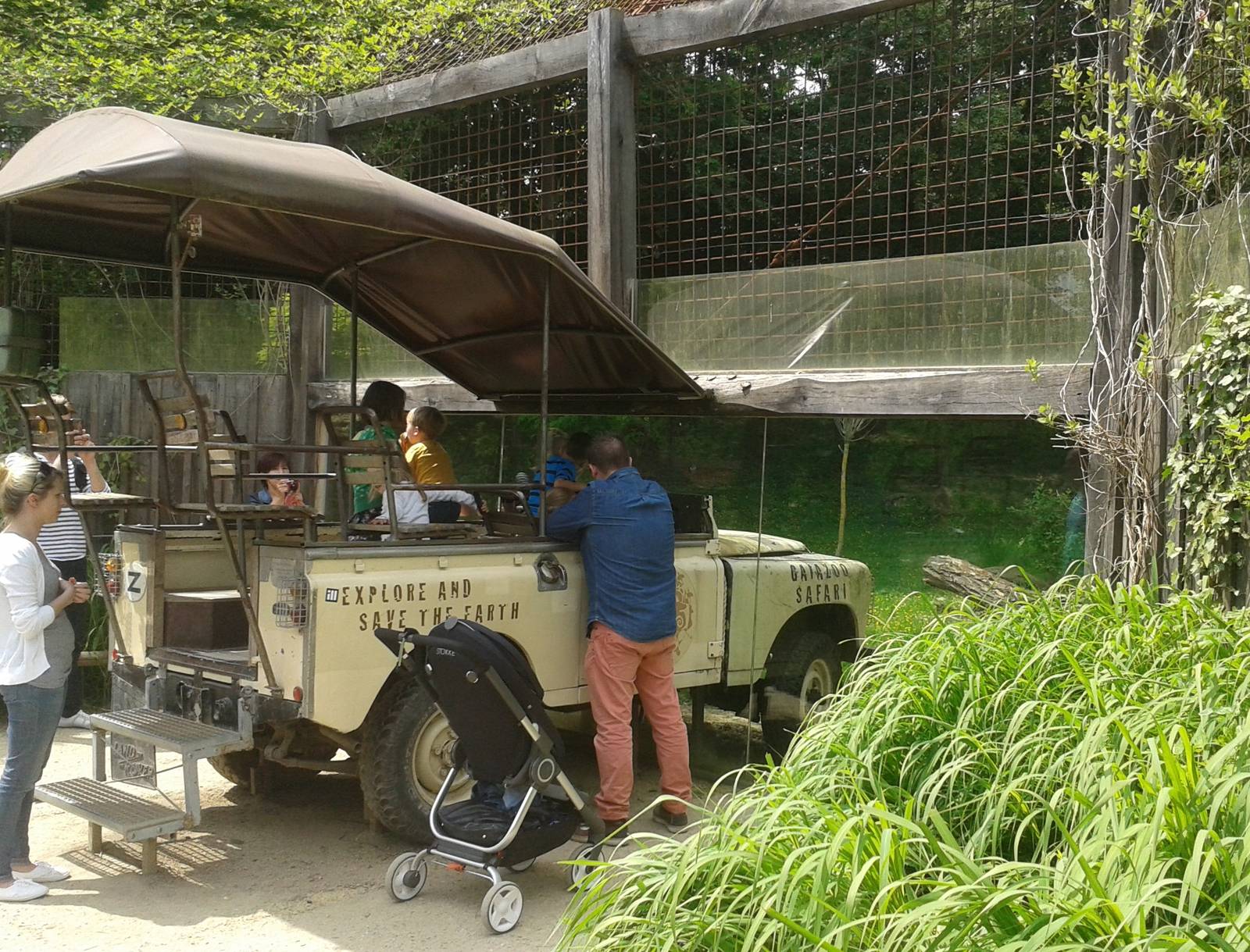 Landrover half in the lion-enclosure