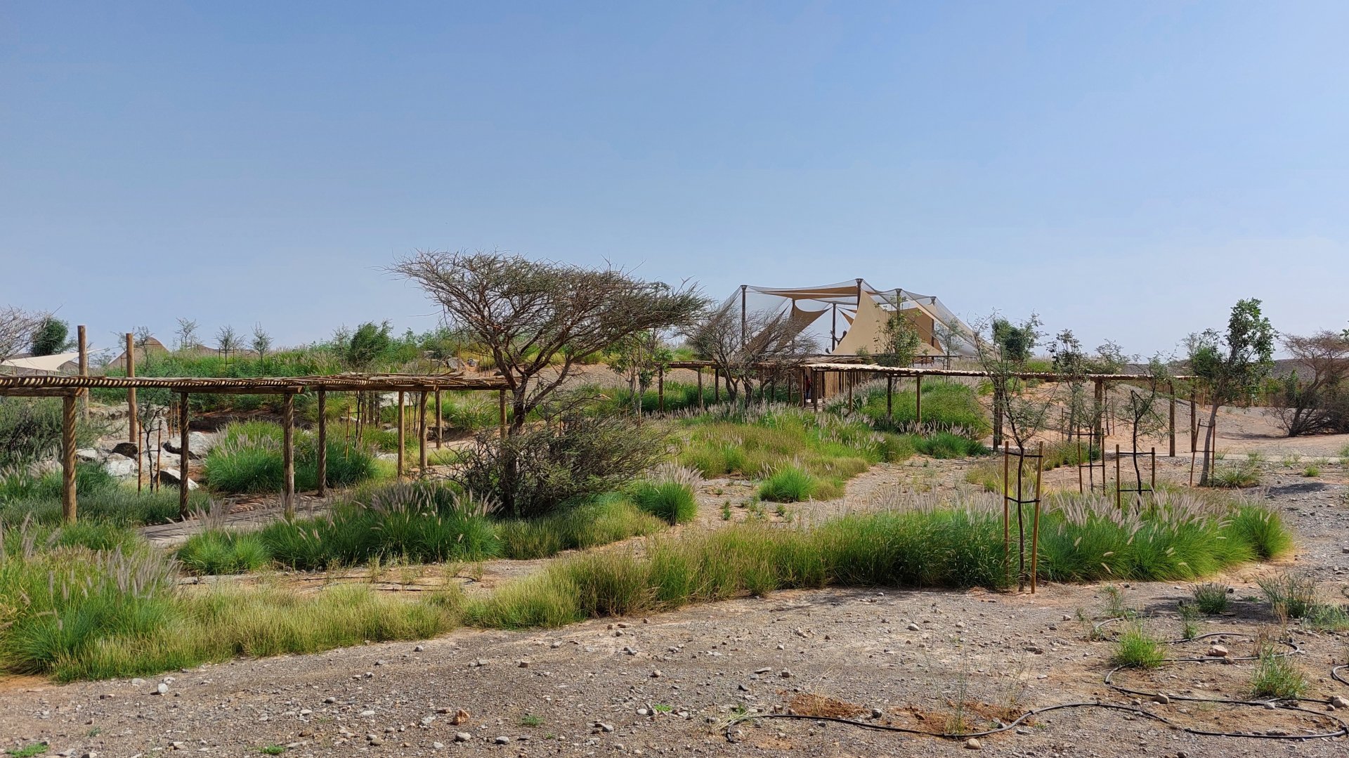 Landscape at Safari camp