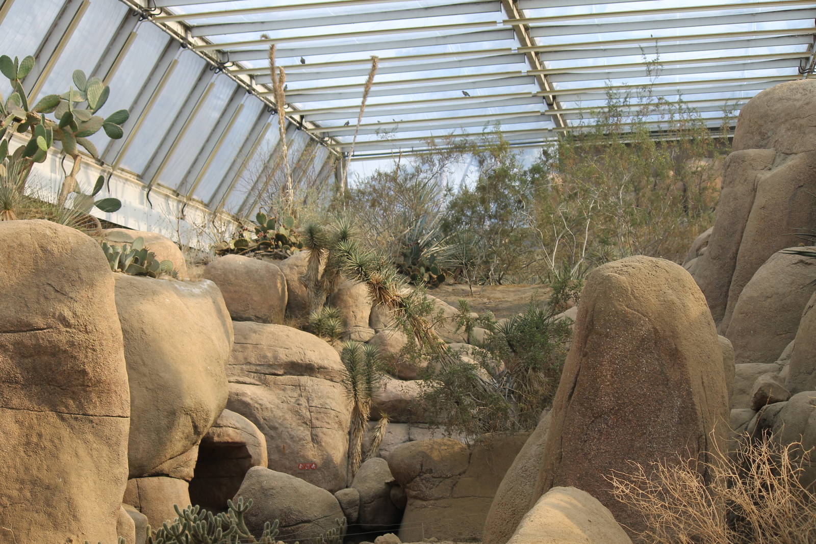 Landscape, Burgers' Desert