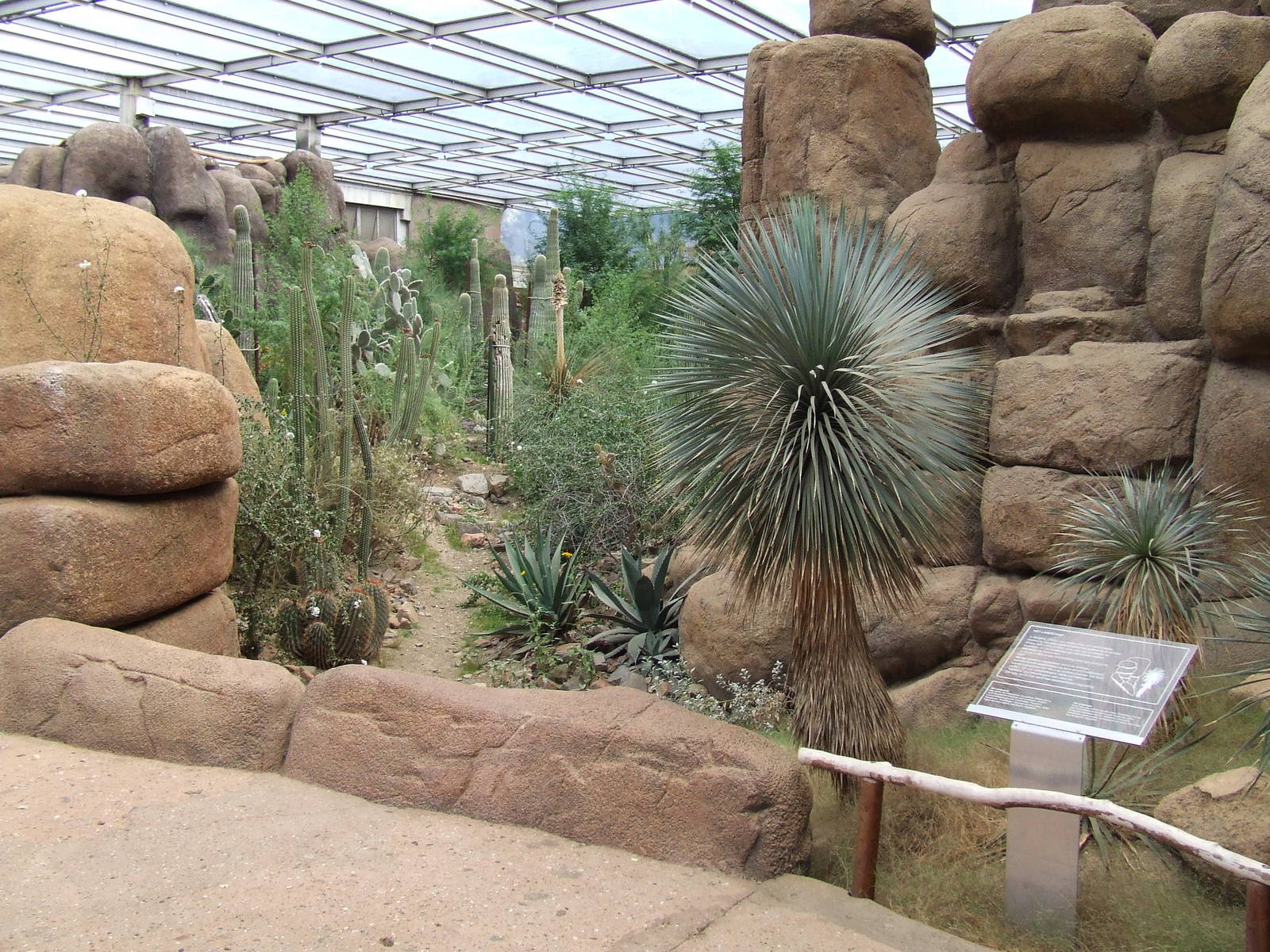 Landscape, Burgers Desert