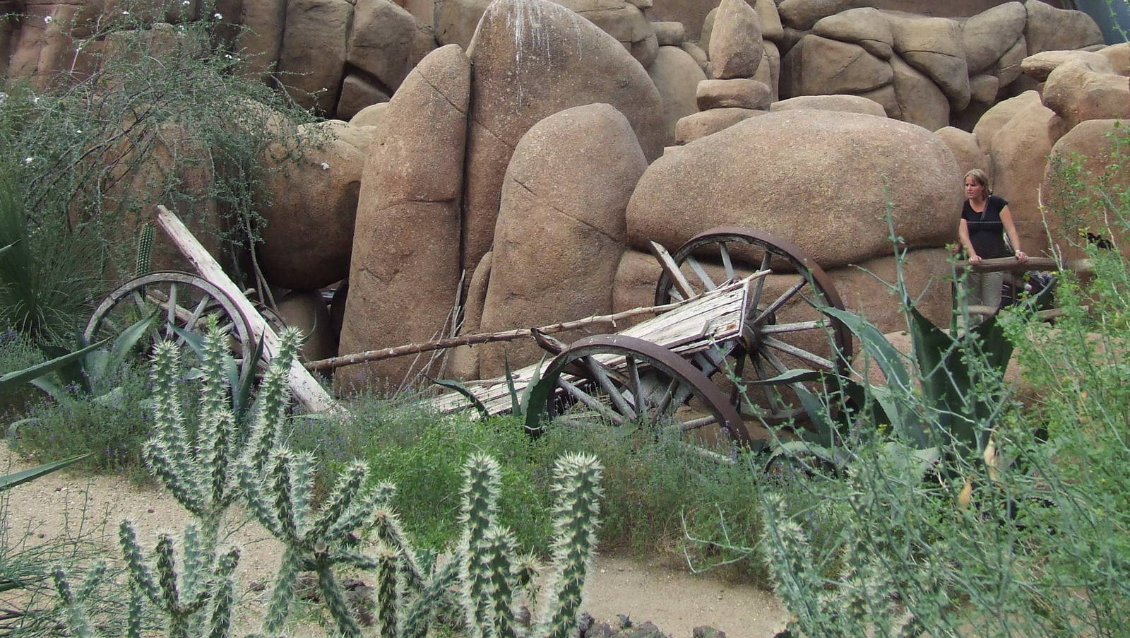Landscape, Burgers Desert