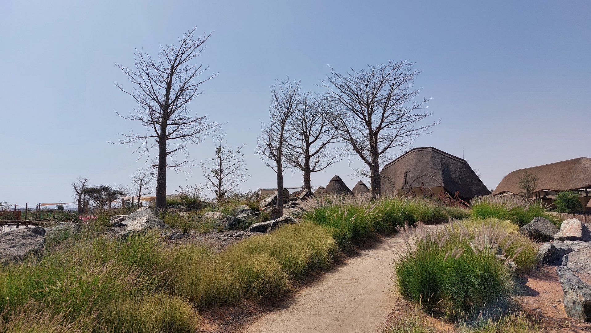 Landscape in safari camp