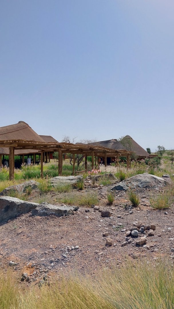 Landscape in safari camp