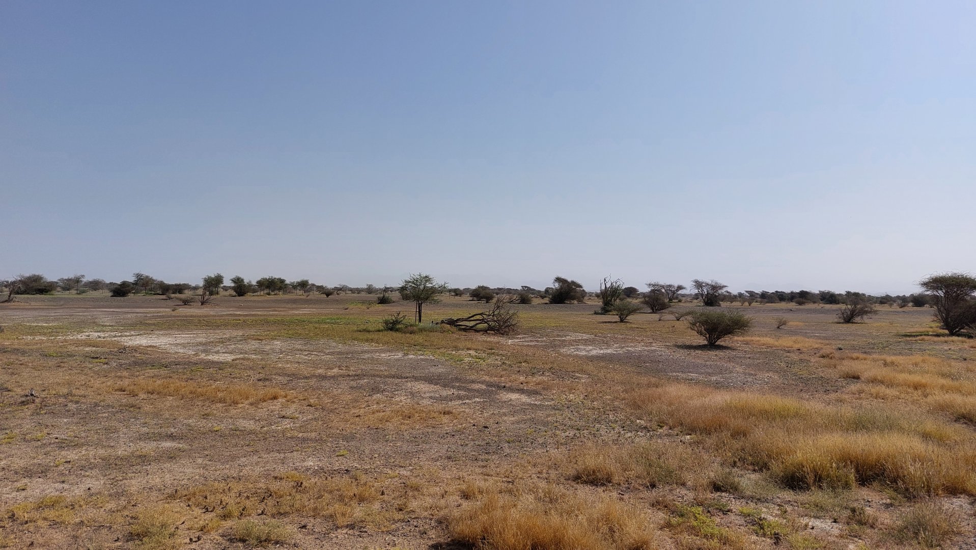 Landscape in Sahel exhibit