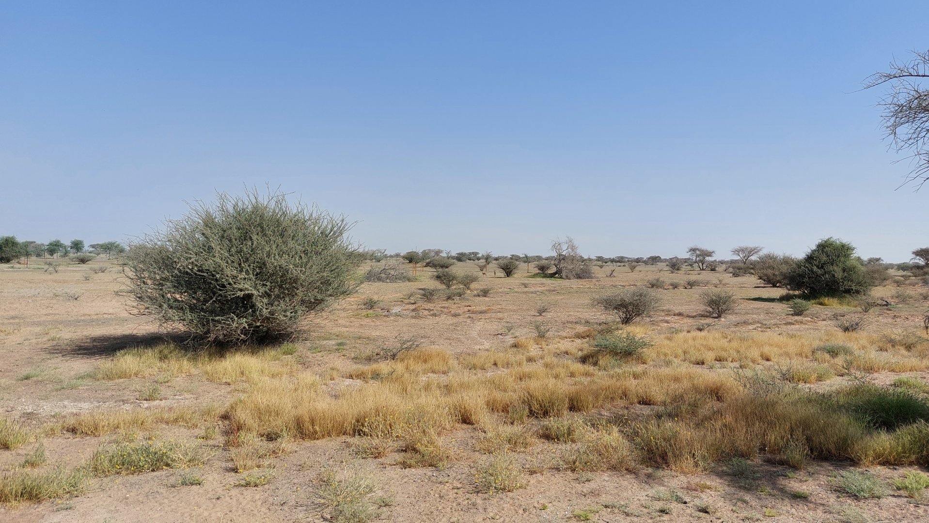 Landscape in Sahel exhibit