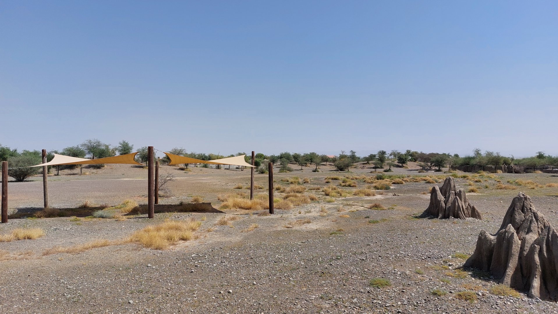 Landscape Ngorongoro area