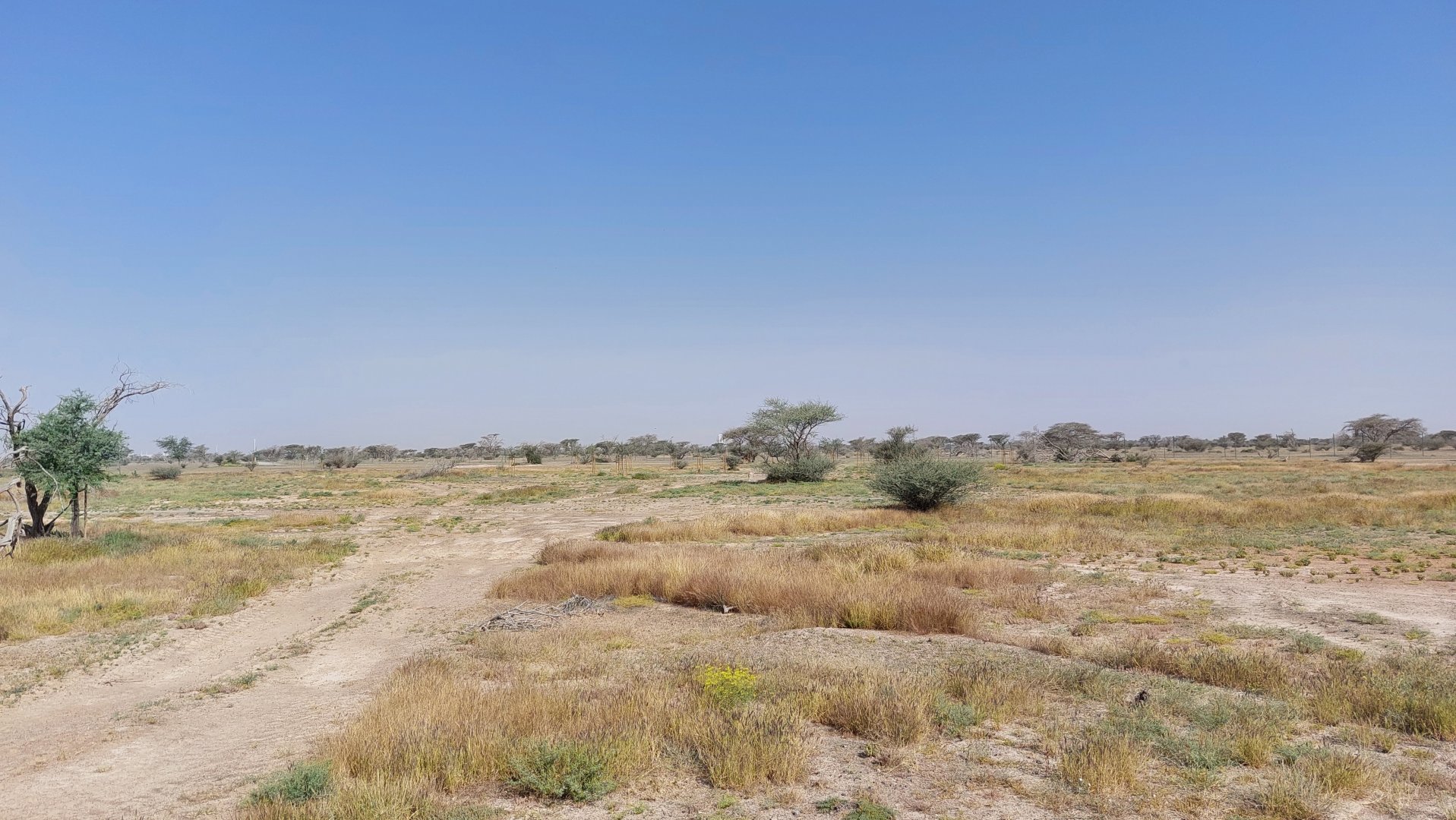 Landscape of Sahel exhibit