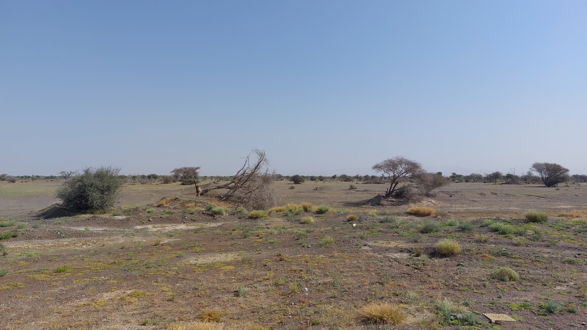 Landscape Savanne area