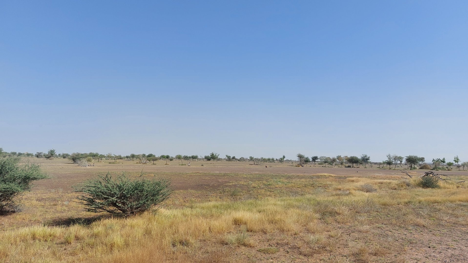 Landscape Savanne exhibit